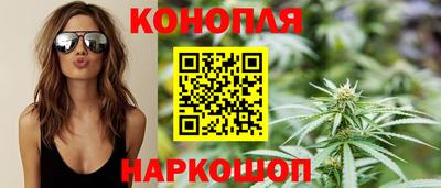 соль ск Новозыбков