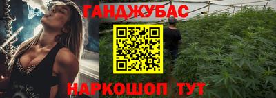 гидра Новодвинск