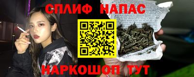 гидра Новодвинск
