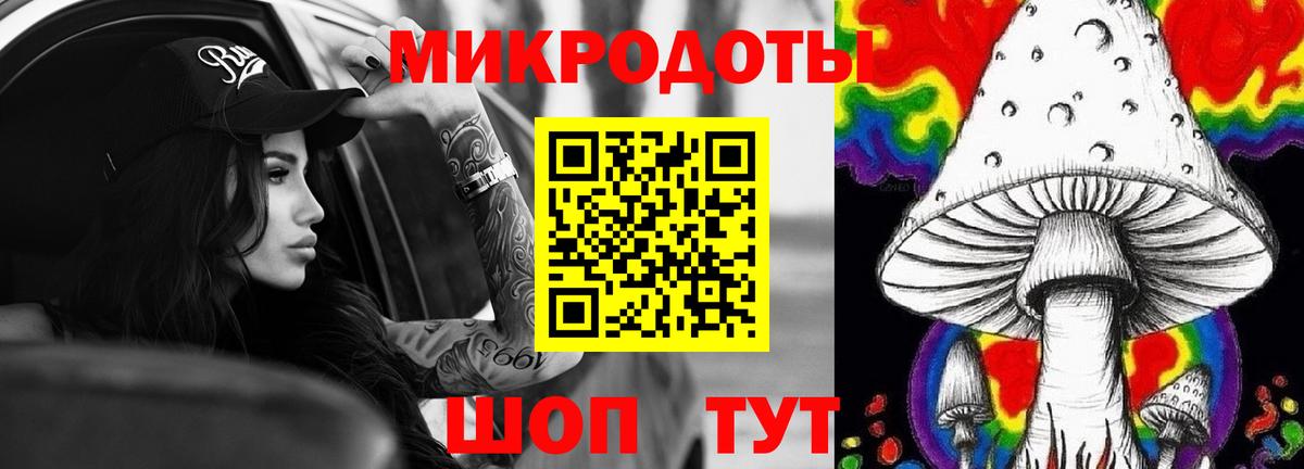Псилоцибиновые грибы Cubensis Тольятти